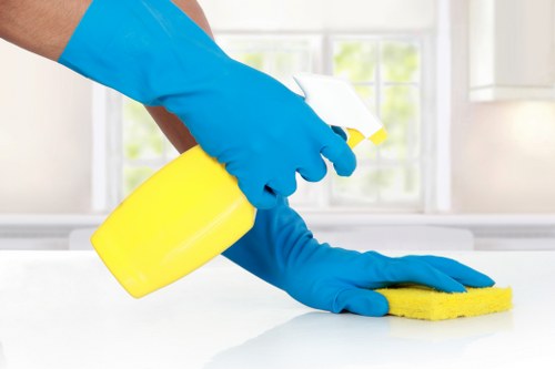Cleaner preparing a one-off cleaning service in a SW3 home