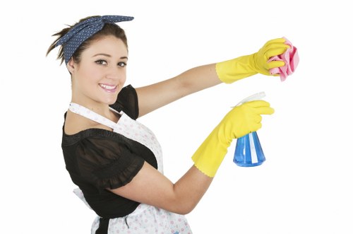 Weekly and fortnightly cleaning service for SW3 homes and offices