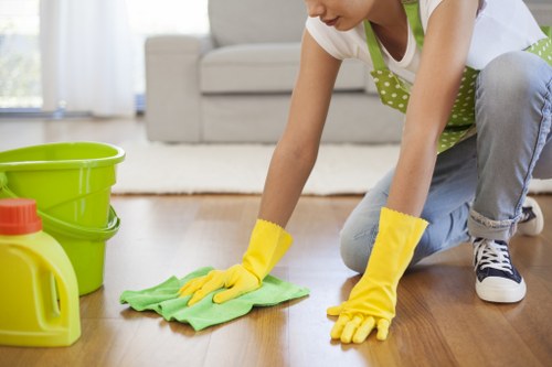Regular home cleaning tasks in a modern SW3 kitchen and living space